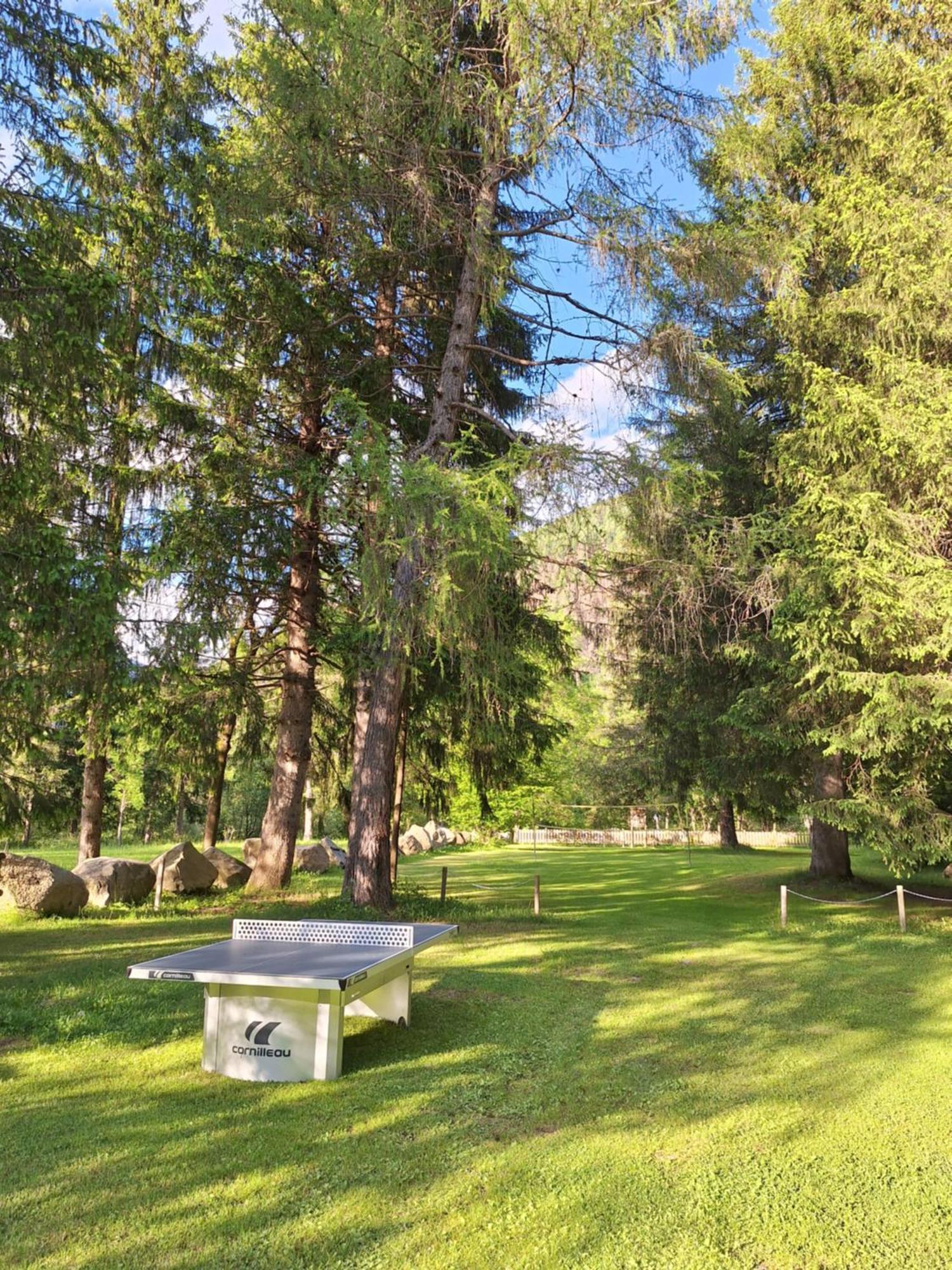 Chalet Presanella Temù Eksteriør bilde