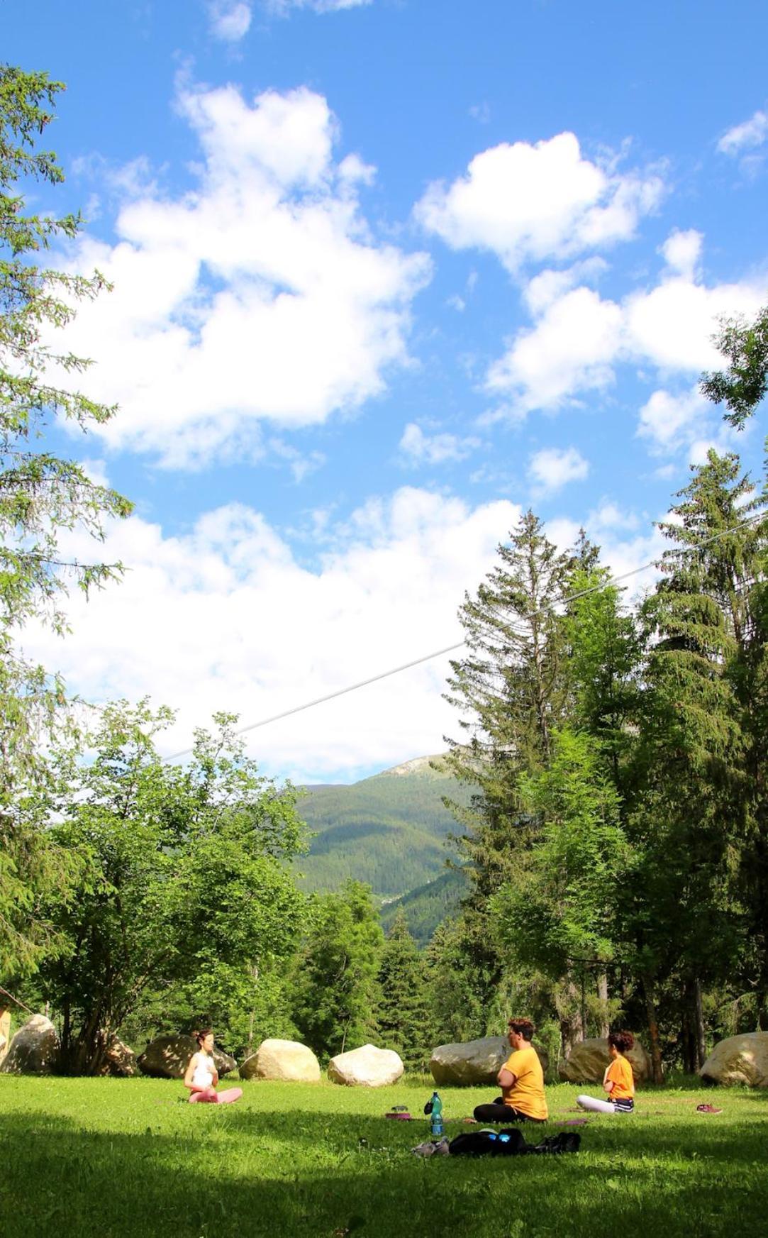 Chalet Presanella Temù Eksteriør bilde