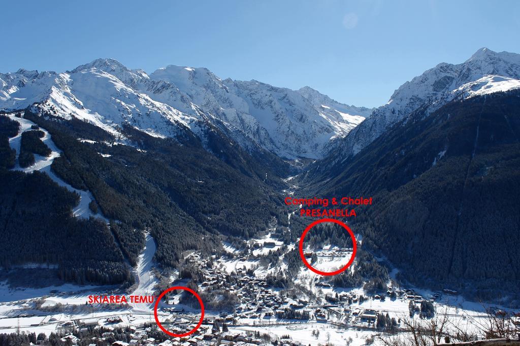 Chalet Presanella Temù Eksteriør bilde